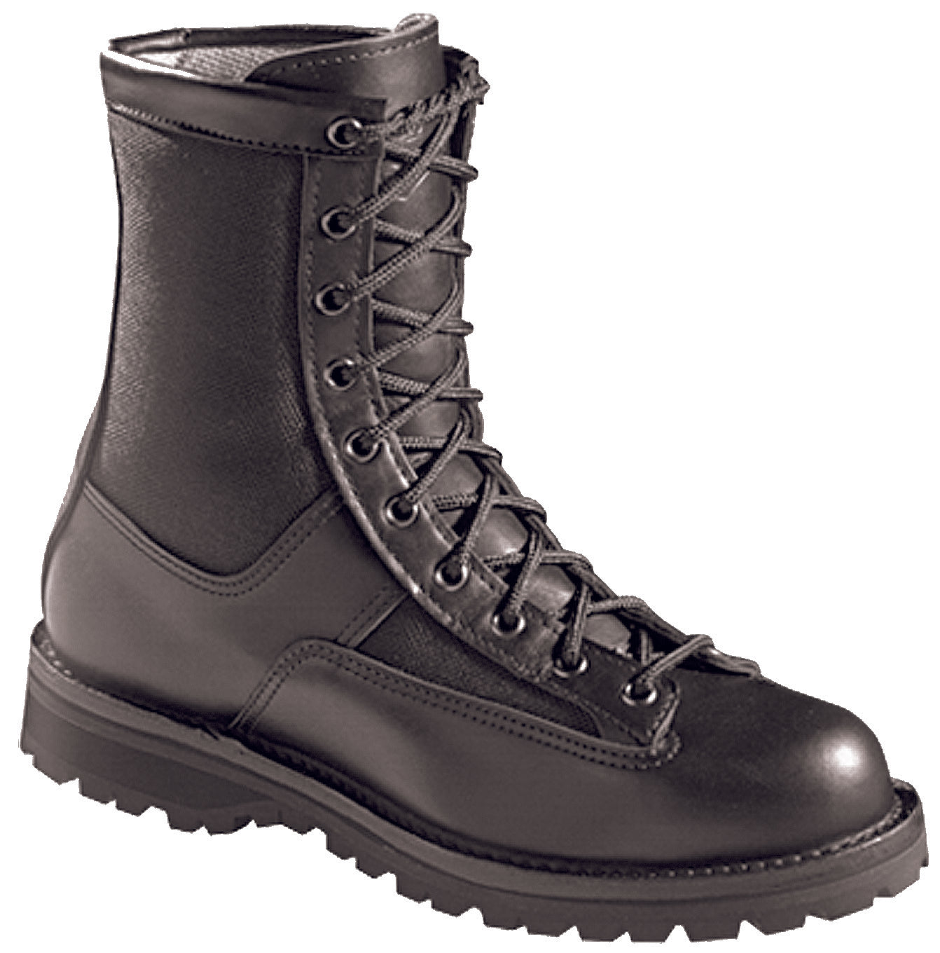 Danner authorized patrol boot